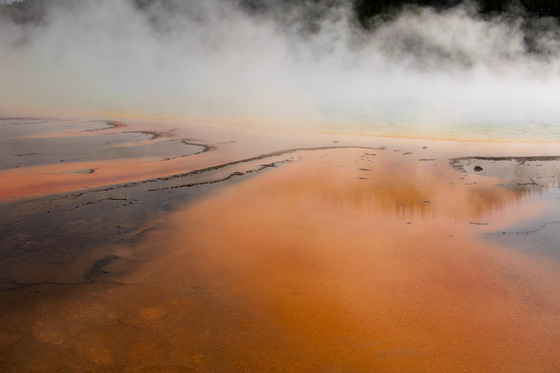 Yellowstone National Park 