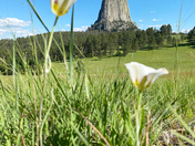 Devils Tower National Monument
