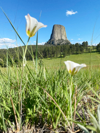 Devils Tower National Monument