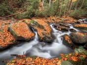 Great Smoky Mountains National Park