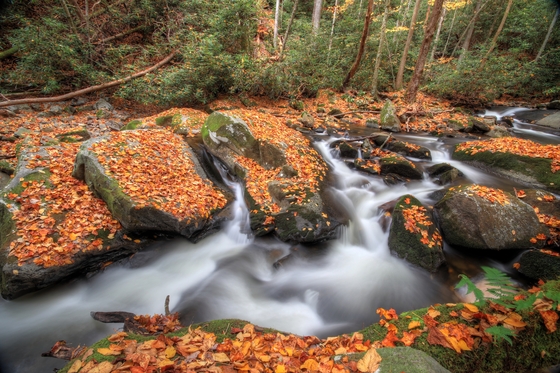 Great Smoky Mountains National Park