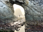 Olympic National Park