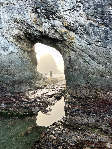 Olympic National Park