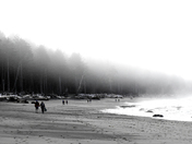 Olympic National Park