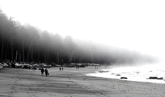 Olympic National Park