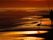 Johnson Beach National Seashore