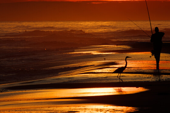 Johnson Beach National Seashore