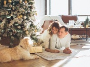 About Our Dog Training School