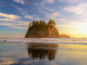 Olympic National Park 