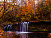 Daniel Boone National Forest