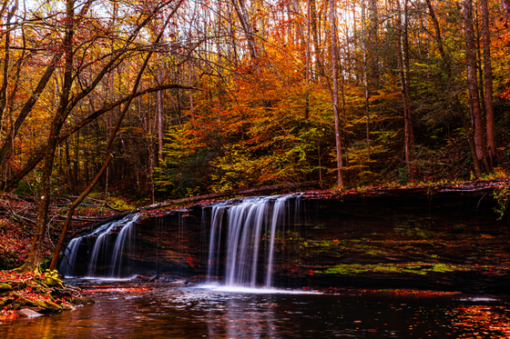 Daniel Boone National Forest