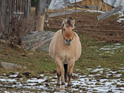  one of Man Bist Frend