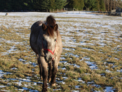  one of Man Bist Frend