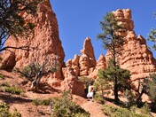 Dixie National Forest