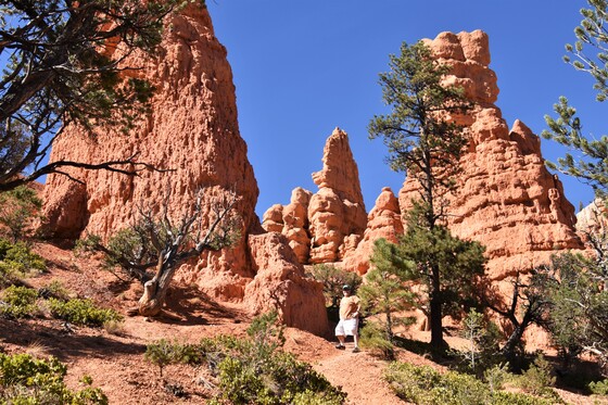 Dixie National Forest