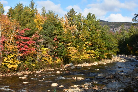 White Mountains National Forest