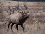 Rocky Mountain National Park