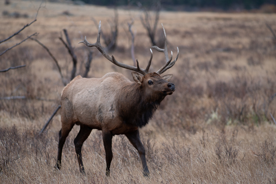 Rocky Mountain National Park