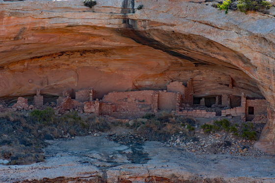 Natural Bridges National Monument