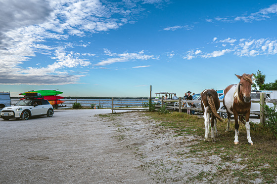 Assateague Island National Seashore