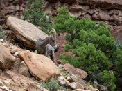 Colorado National Monument