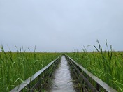 Hecla Island, Manitoba