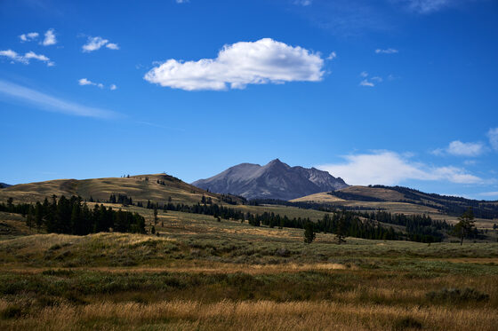 Yellowstone National Park