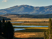 Yellowstone National Park