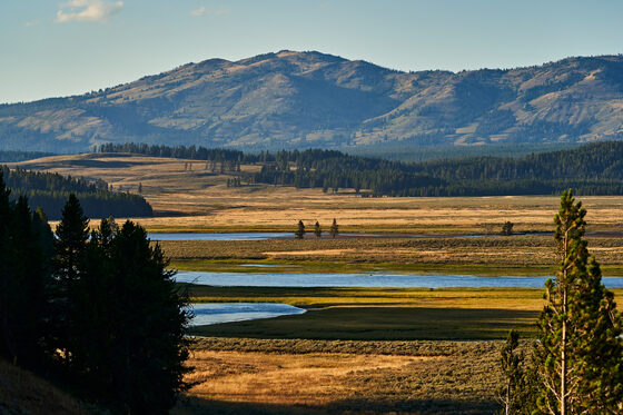 Yellowstone National Park