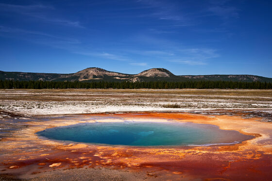 Yellowstone National Park