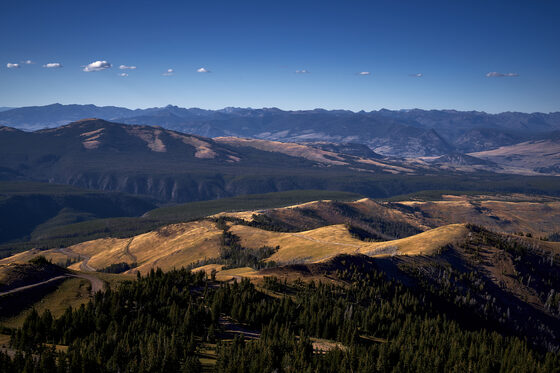 Yellowstone National Park