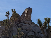 Joshua Tree National Park