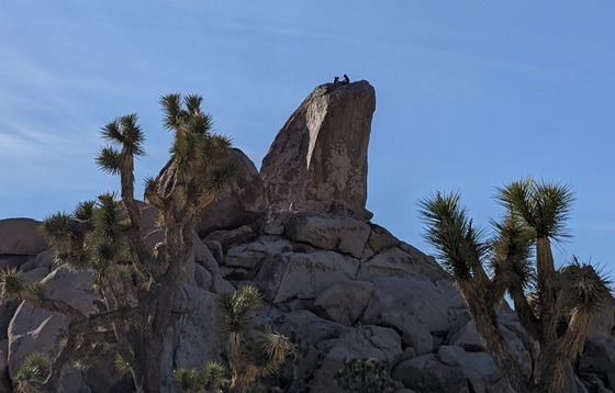 Joshua Tree National Park
