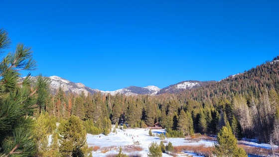 Sequoia National Park