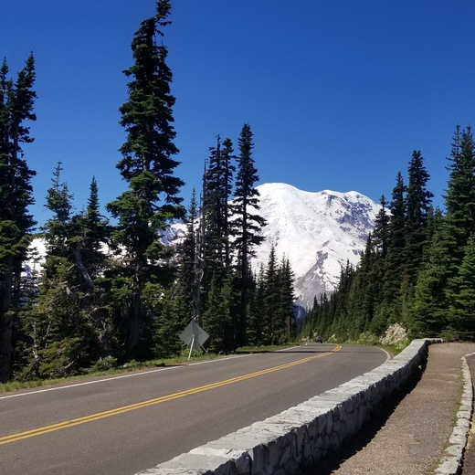 Mount Rainier National Park