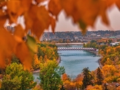Fall Leaves Framing The Calgary River Valley