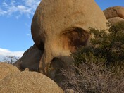 Joshua Tree National Park