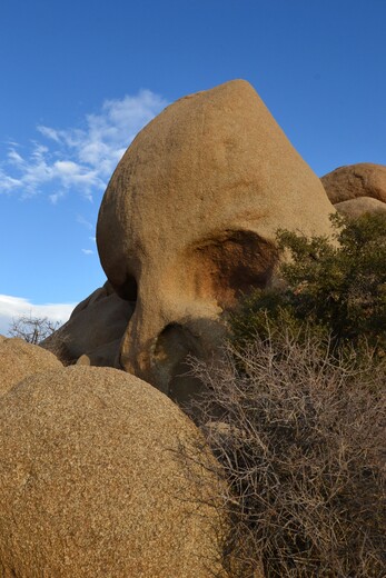 Joshua Tree National Park