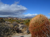 Joshua Tree National Park