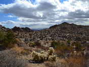 Joshua Tree National Park