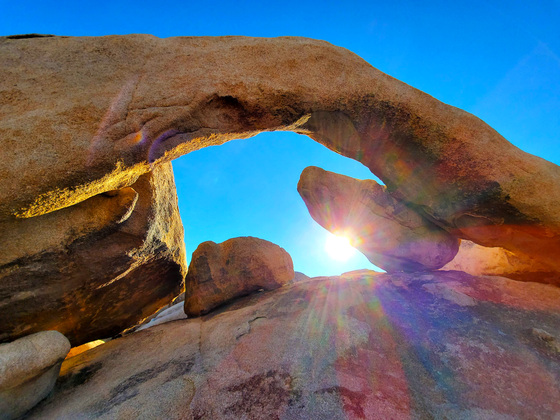 Joshua Tree National Park