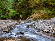 Willamette National Forest