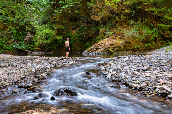Willamette National Forest
