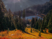Mount Rainier National Park