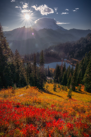 Mount Rainier National Park