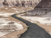 Petrified Forest National Park