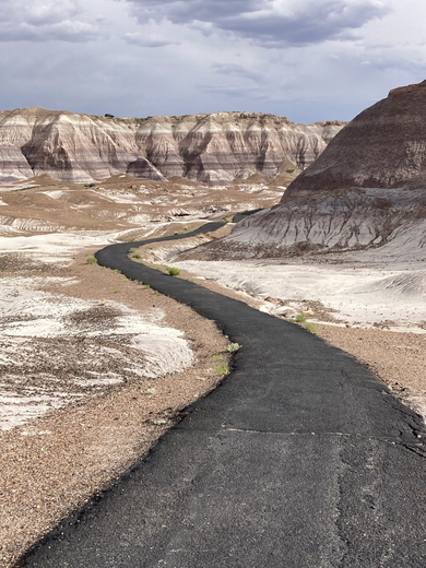Petrified Forest National Park