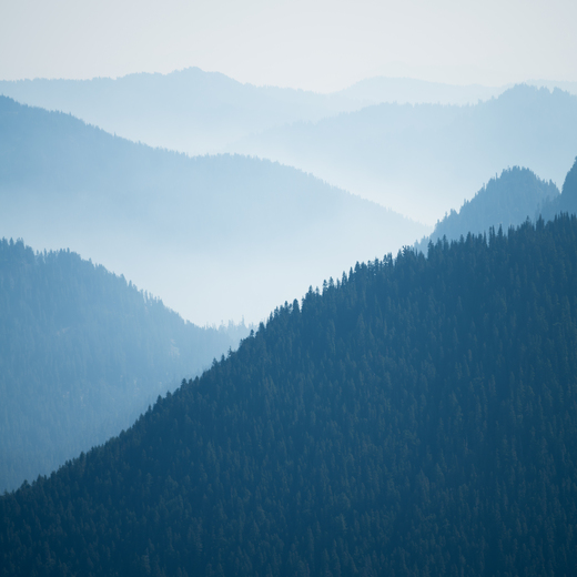 Mt. Rainier National Park