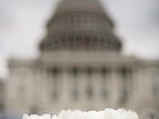 National Mall and Memorial Parks