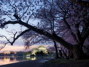 National Mall & Memorial Parks